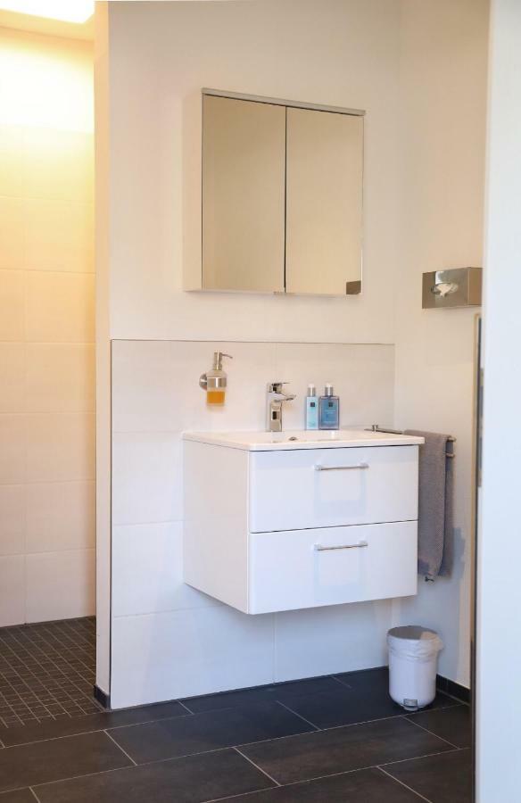 Appartement Burgblick ハールブルク エクステリア 写真